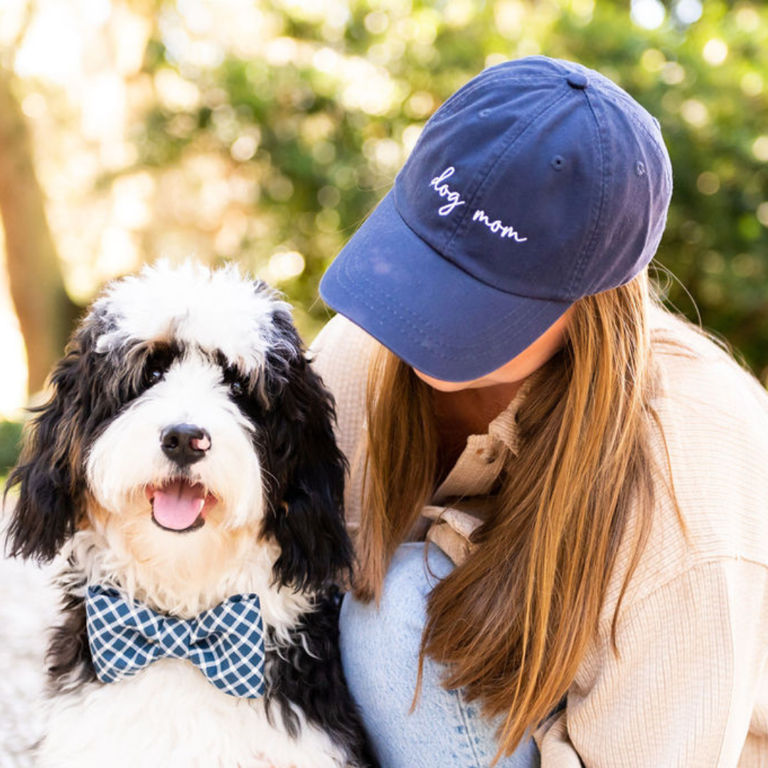 Lou's Plaid Bow Tie Collar - Crew LaLa
