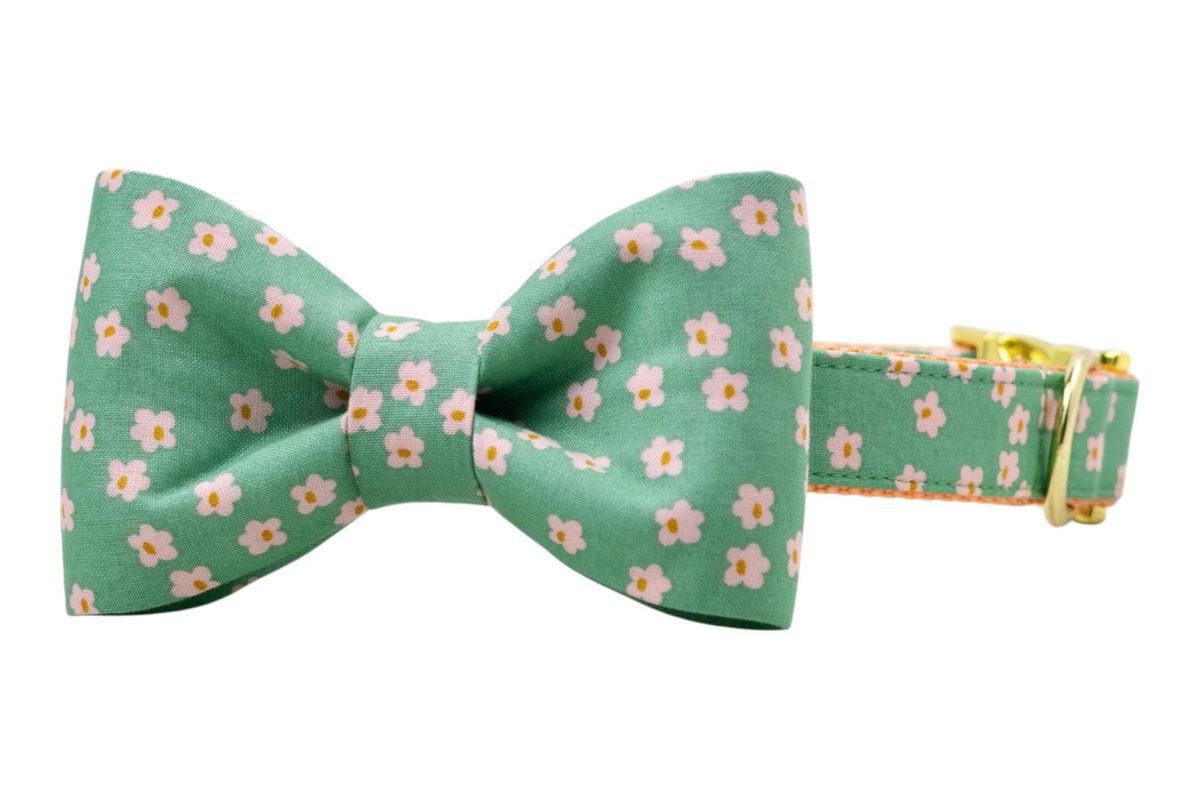 Glinda's Garden Bow Tie Collar