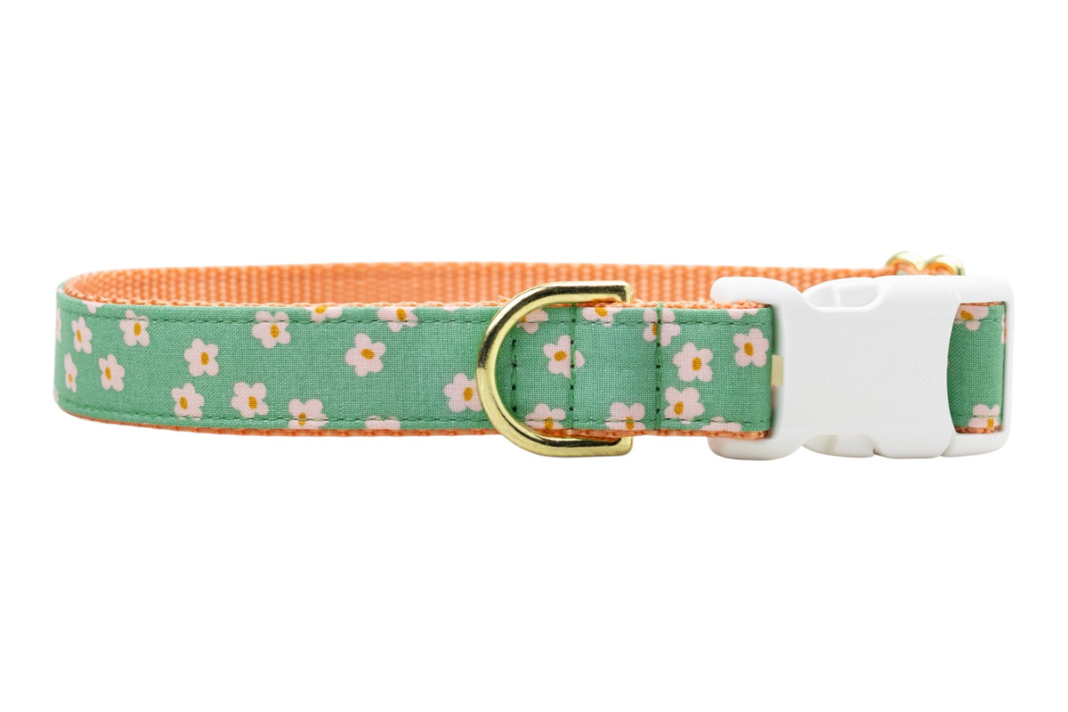 Glinda's Garden Dog Collar