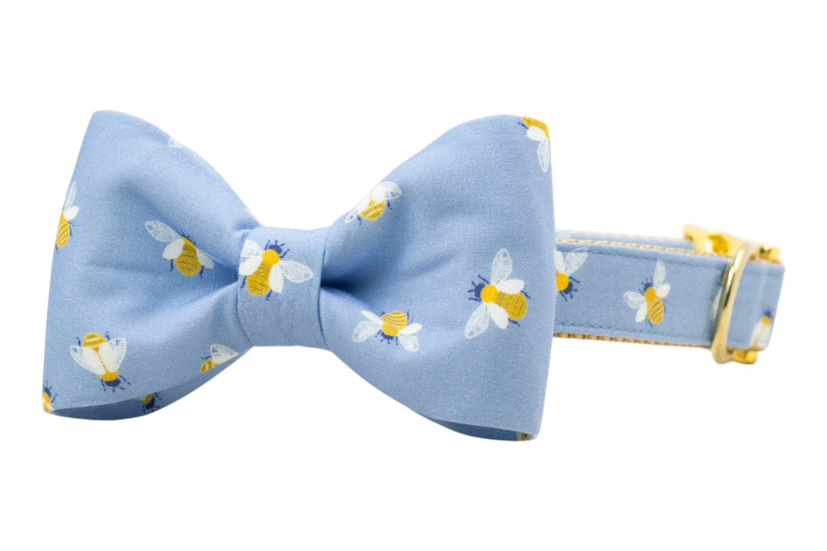 Busy Bee Bow Tie Collar