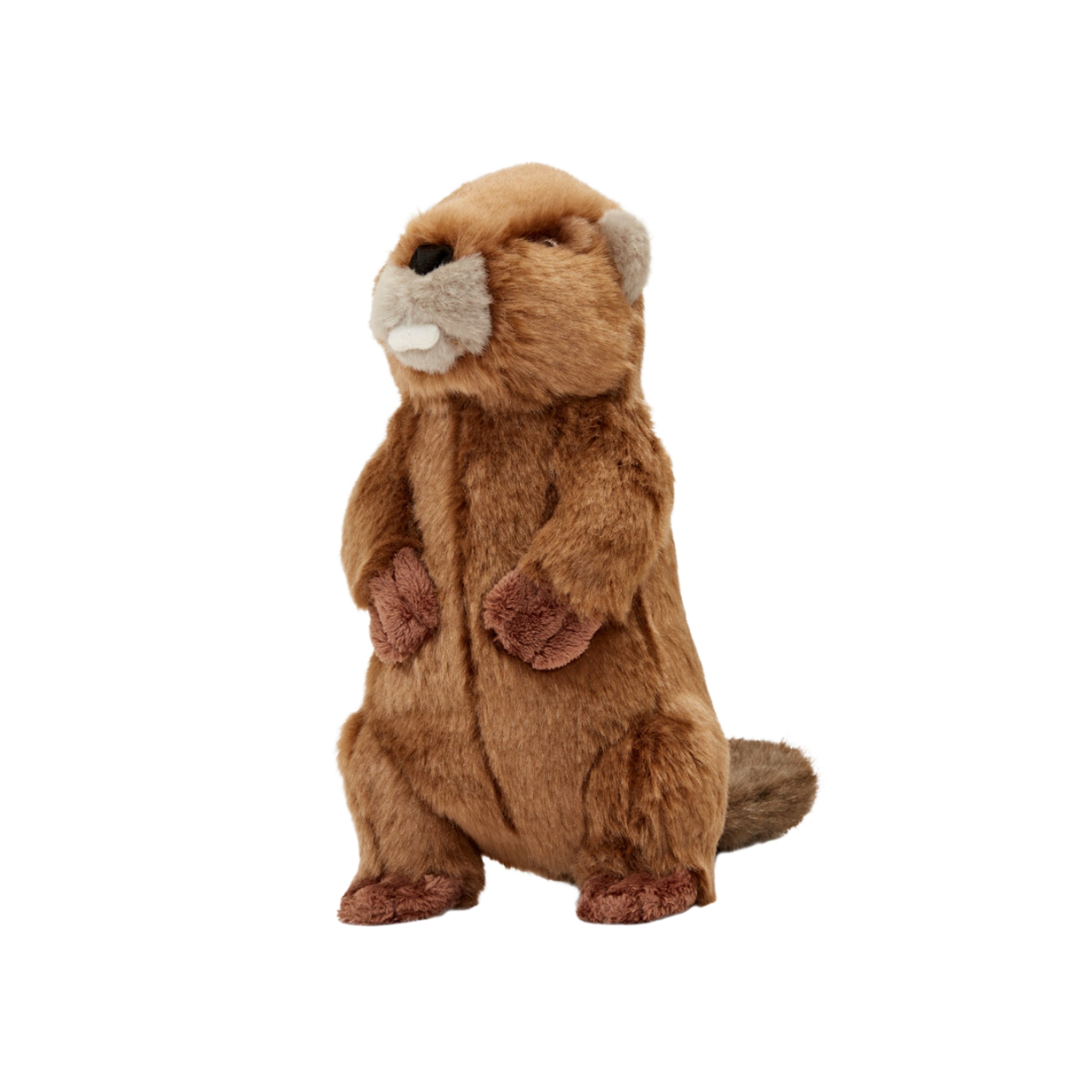 Fluff & Tuff™ "Troy Beaver" Dog Toy - Crew LaLa