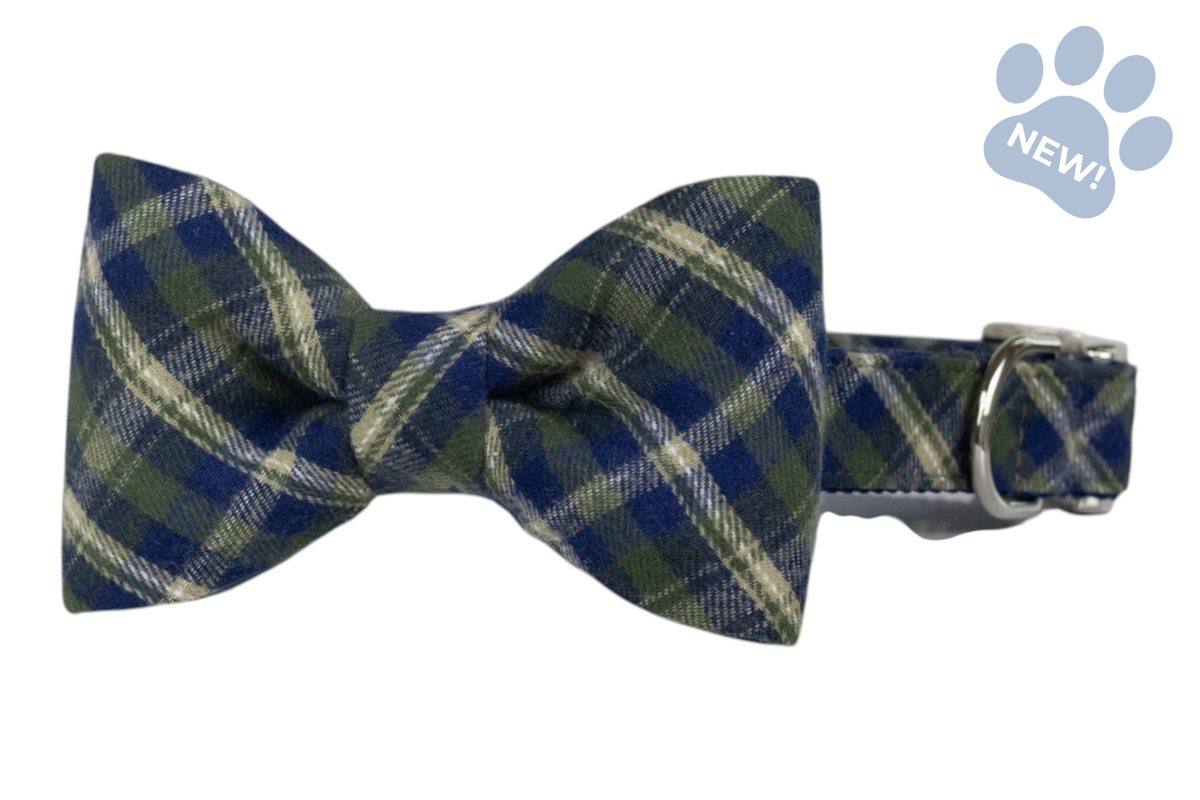Highlands Plaid Bow Tie Collar