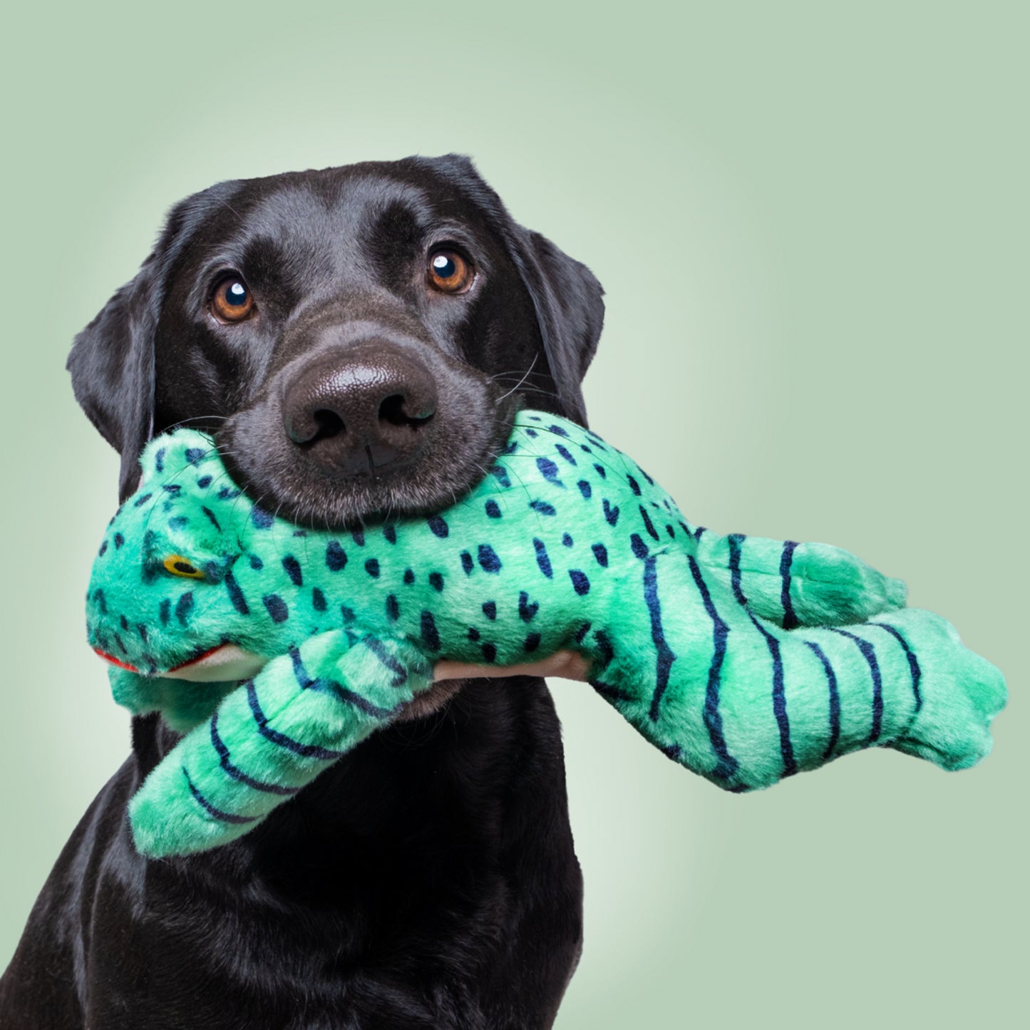 Fluff & Tuff™ "Oliver Green Frog" Dog Toy - Crew LaLa