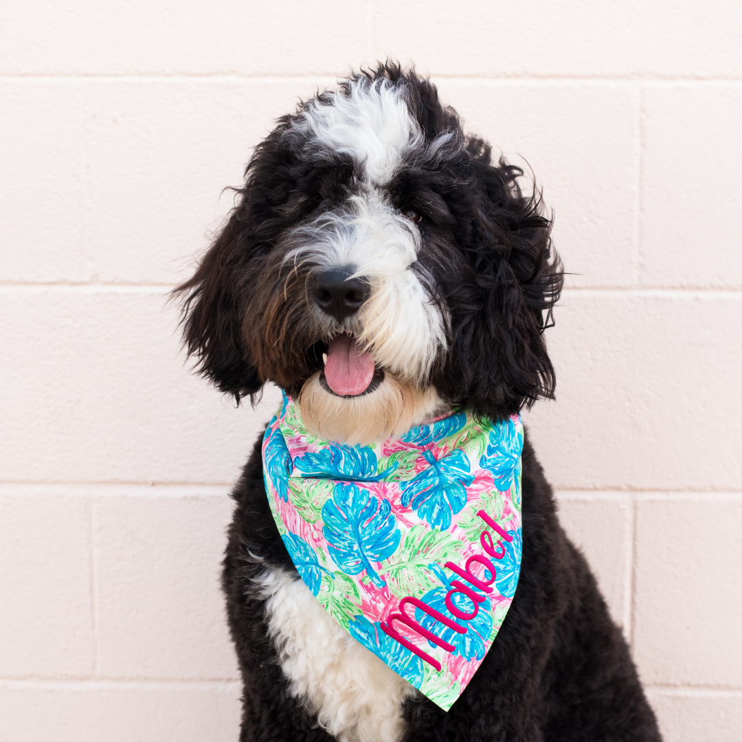 Lilly Palms Dog Bandana - Crew LaLa