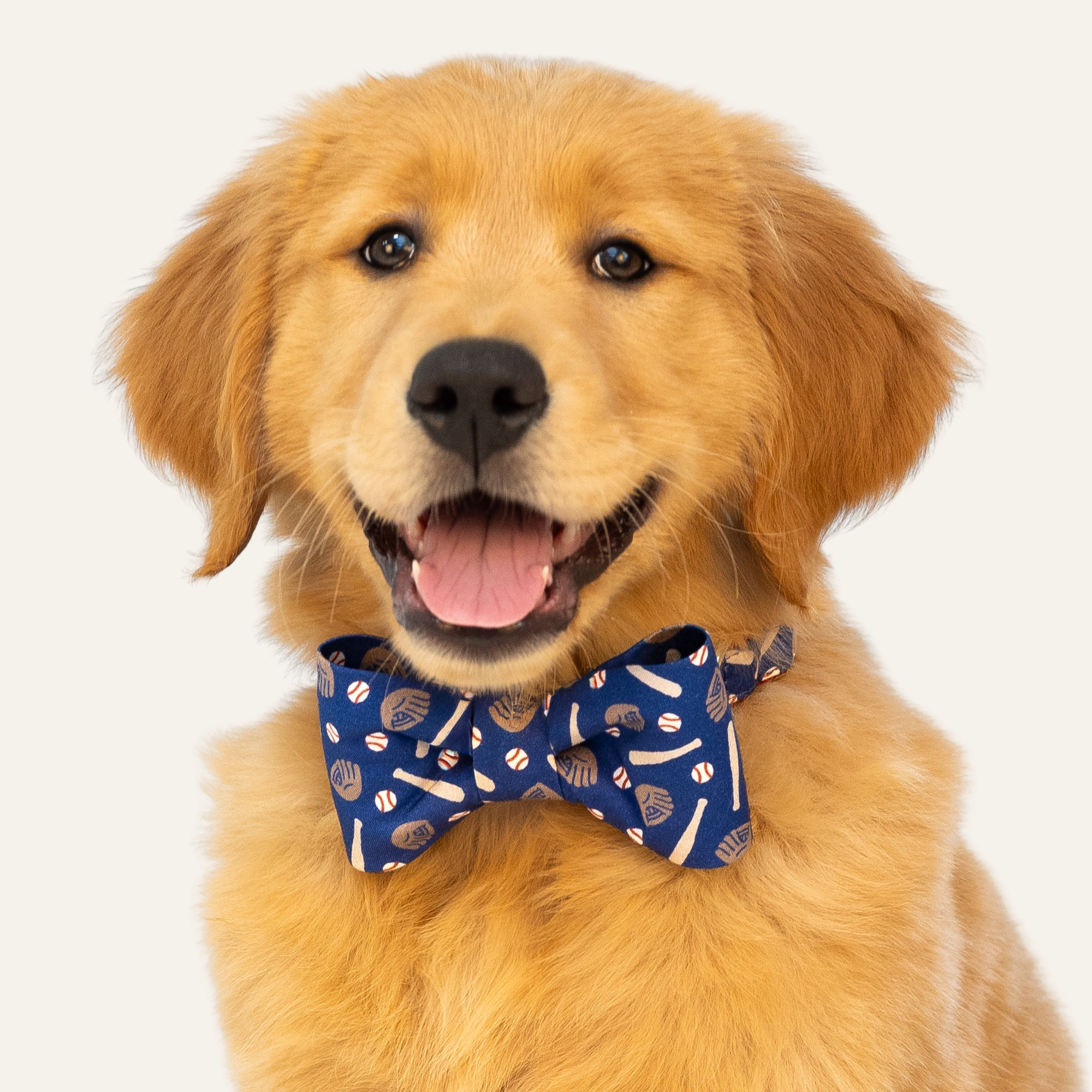 Play Ball Bow Tie Collar - Crew LaLa