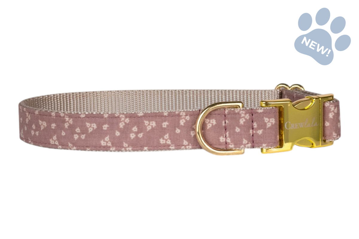 Precious Posey Belle Bow Collar