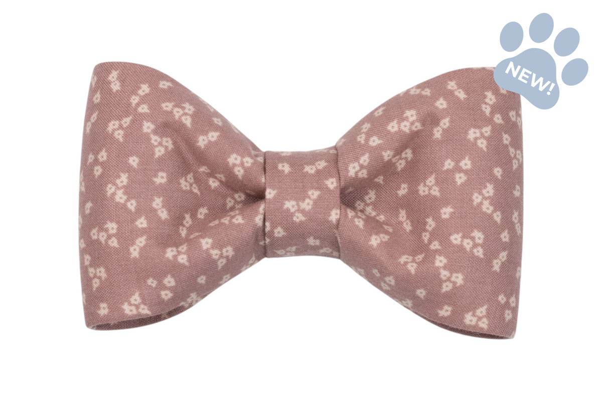 Precious Posey Bow Tie