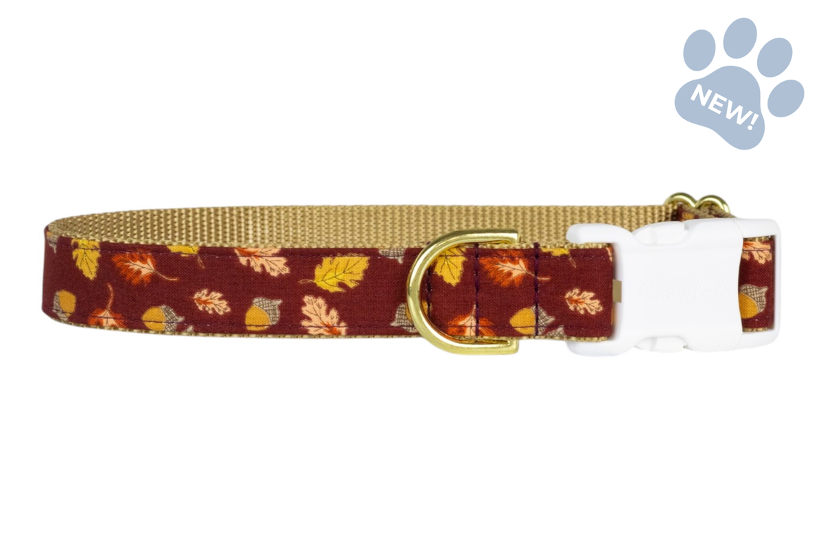 Falling For You Belle Bow Collar