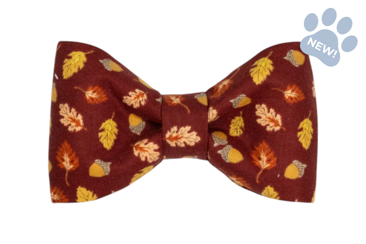 Falling For You Bow Tie