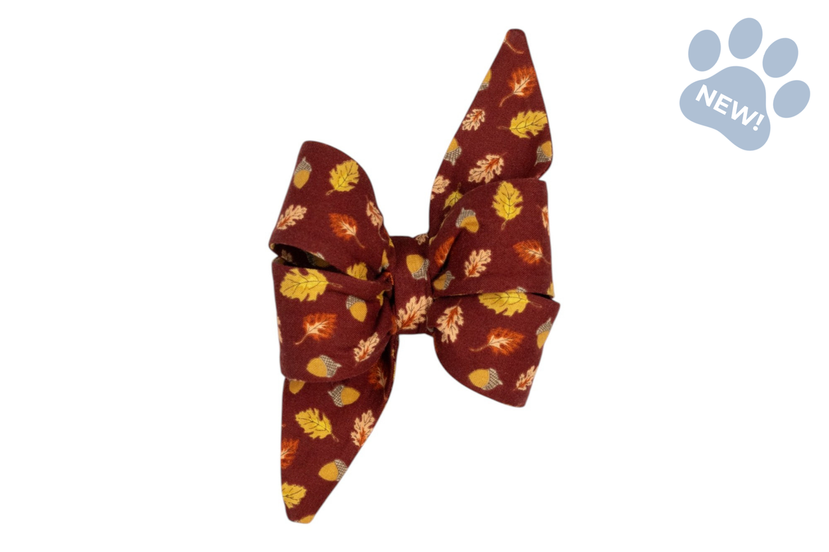 Falling For You Belle Bow