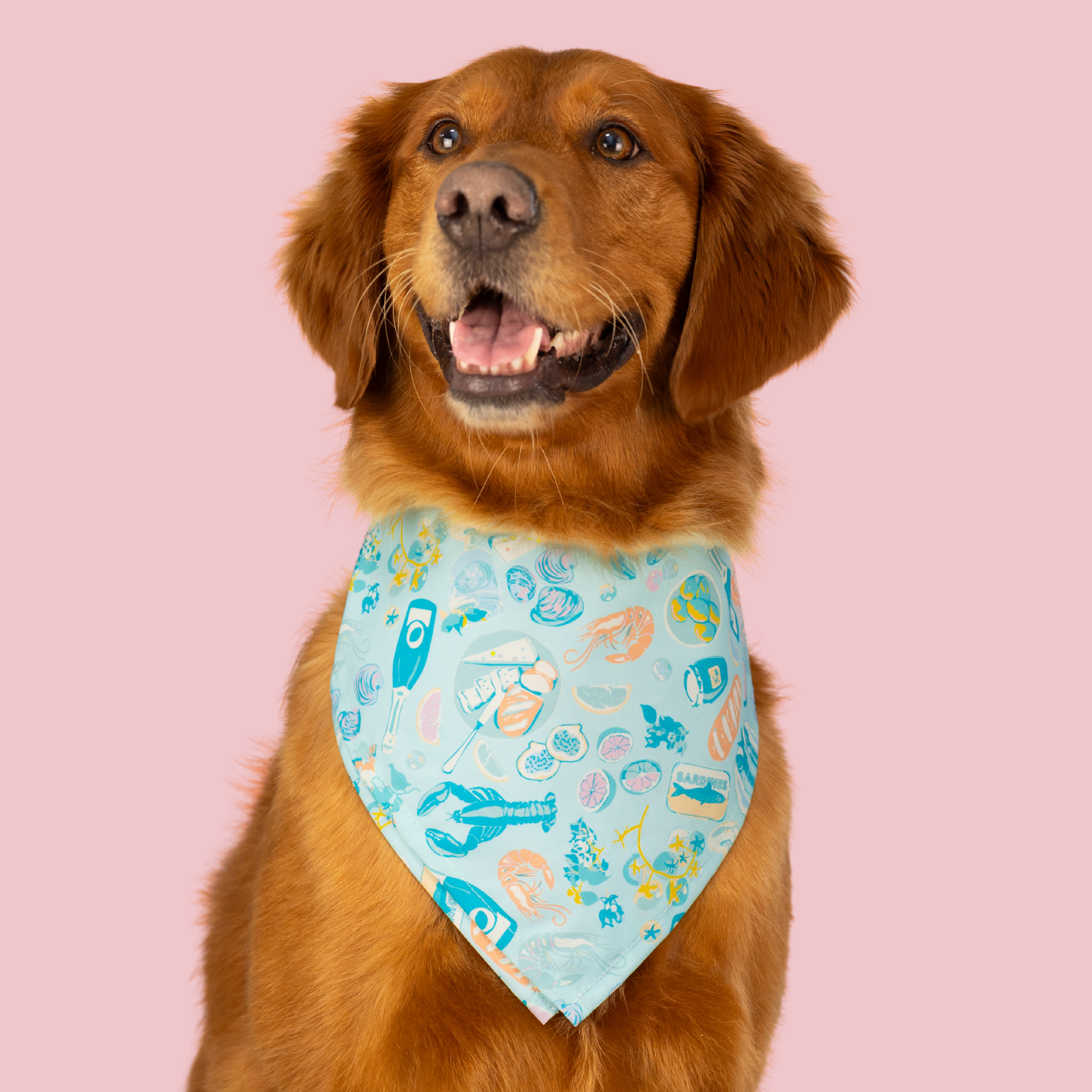 Seaside Snacks Dog Bandana