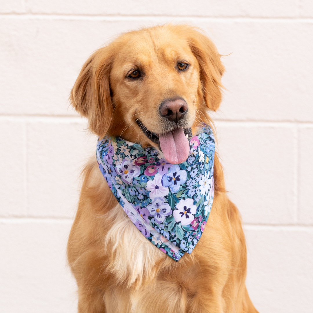 Purple Pansies Dog Bandana - Crew LaLa