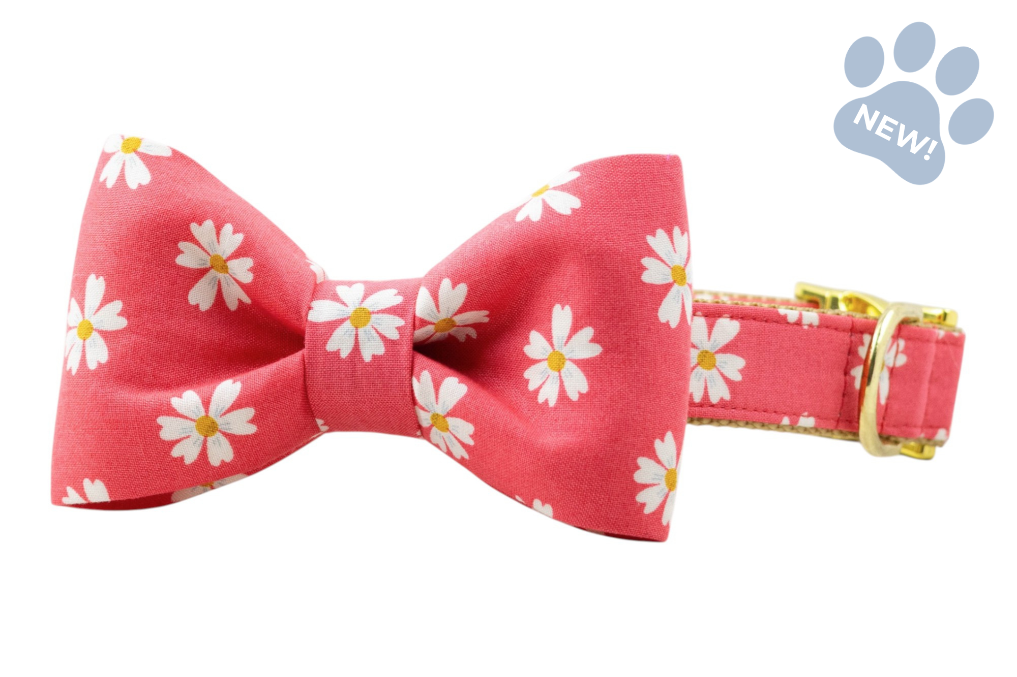 Coral Daisies Bow Tie Collar - Crew LaLa