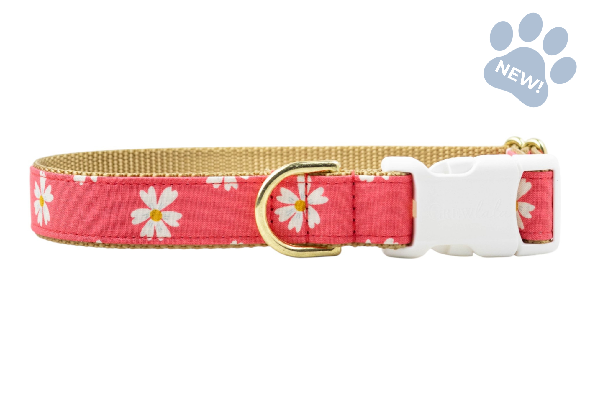 Coral Daisies Dog Collar - Crew LaLa