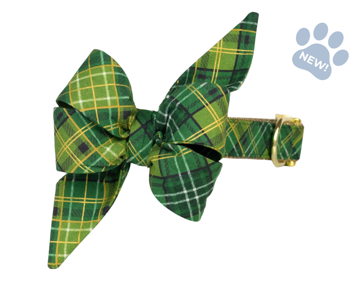 Golden Green Plaid Belle Bow Collar