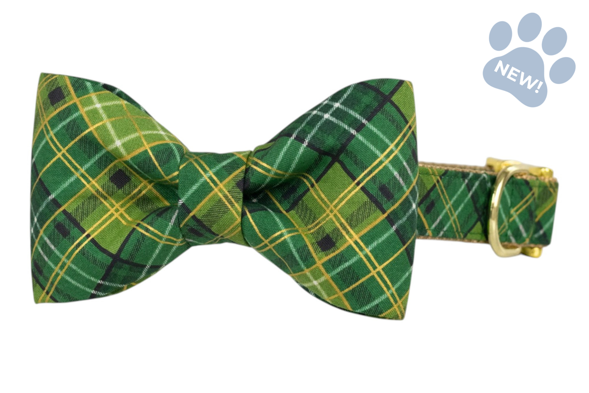 Golden Green Plaid Bow Tie Collar