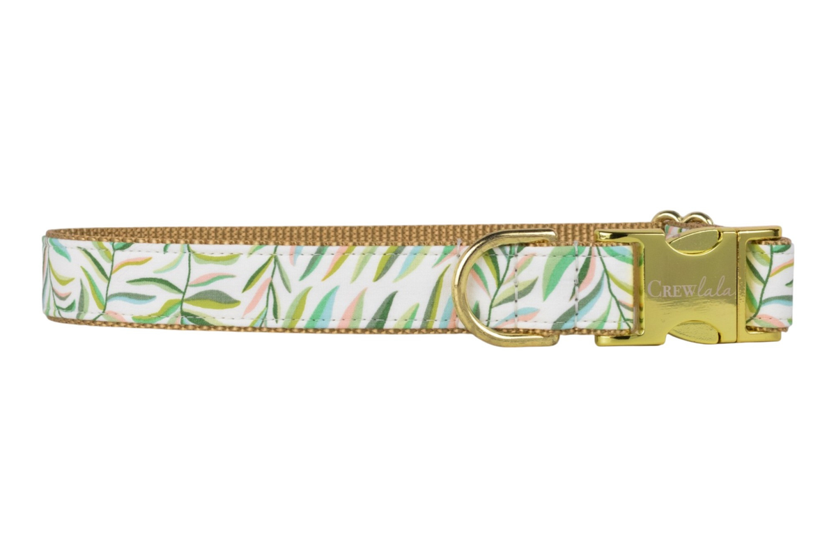 Tropic Time Belle Bow Collar