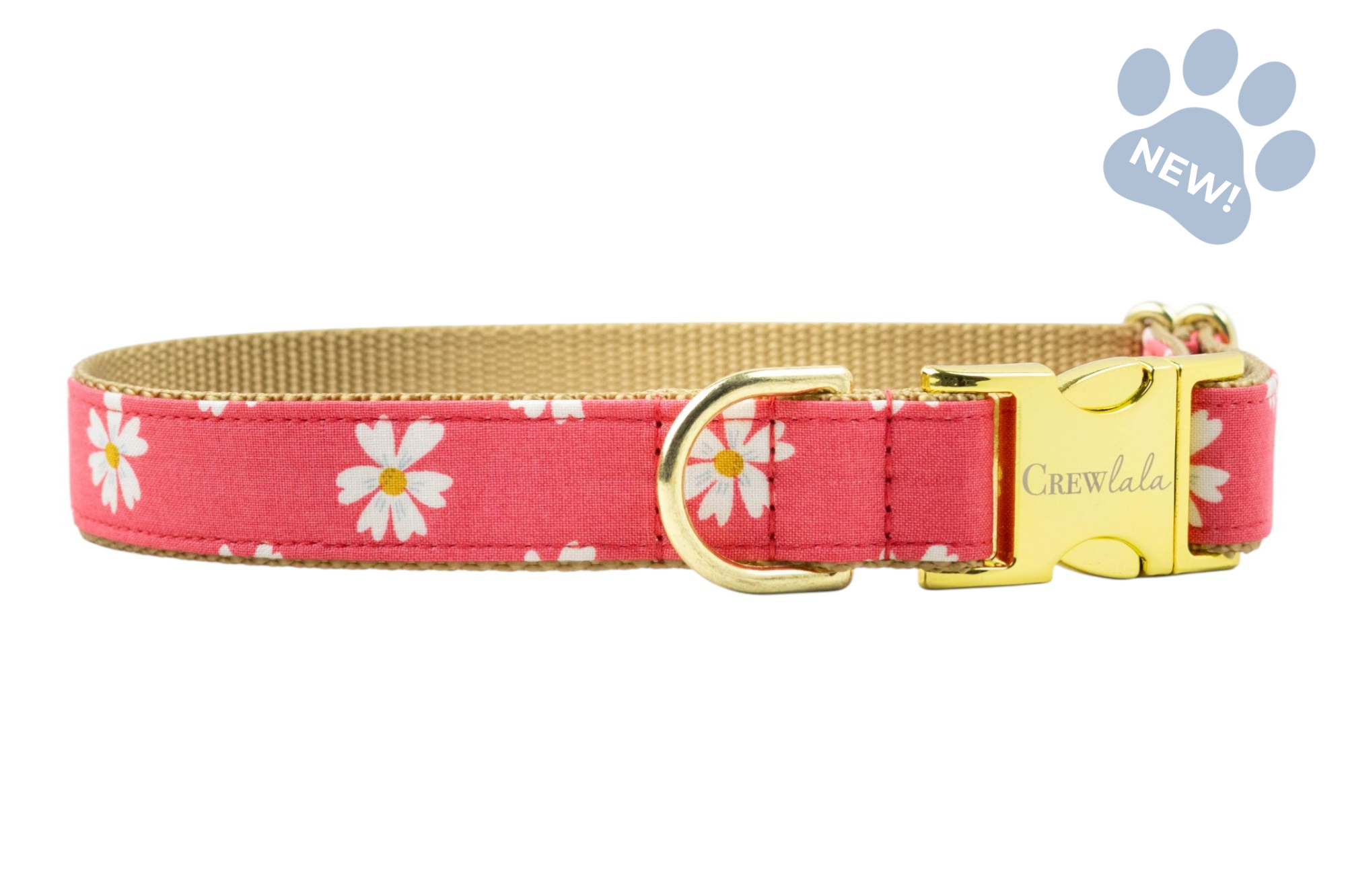 Coral Daisies Dog Collar - Crew LaLa