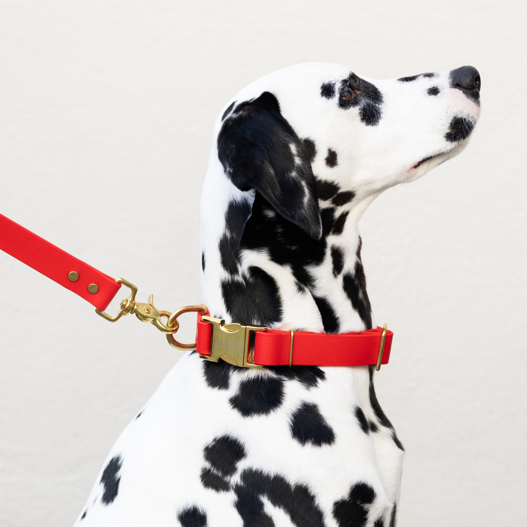 Red Biothane Collar - Crew LaLa