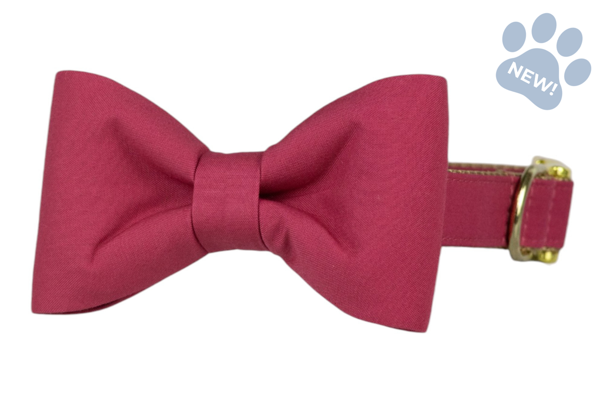 Deep Rose Bow Tie Dog Collar