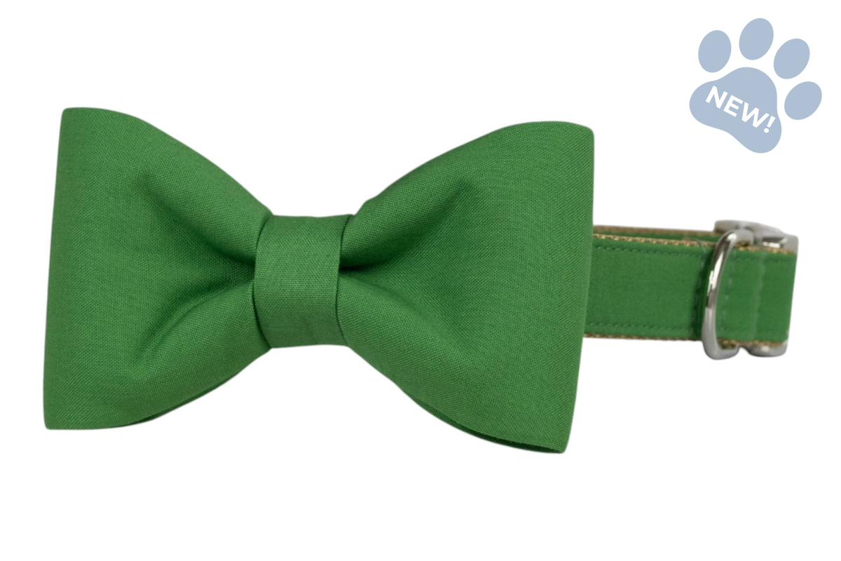 18th Green Bow Tie Dog Collar