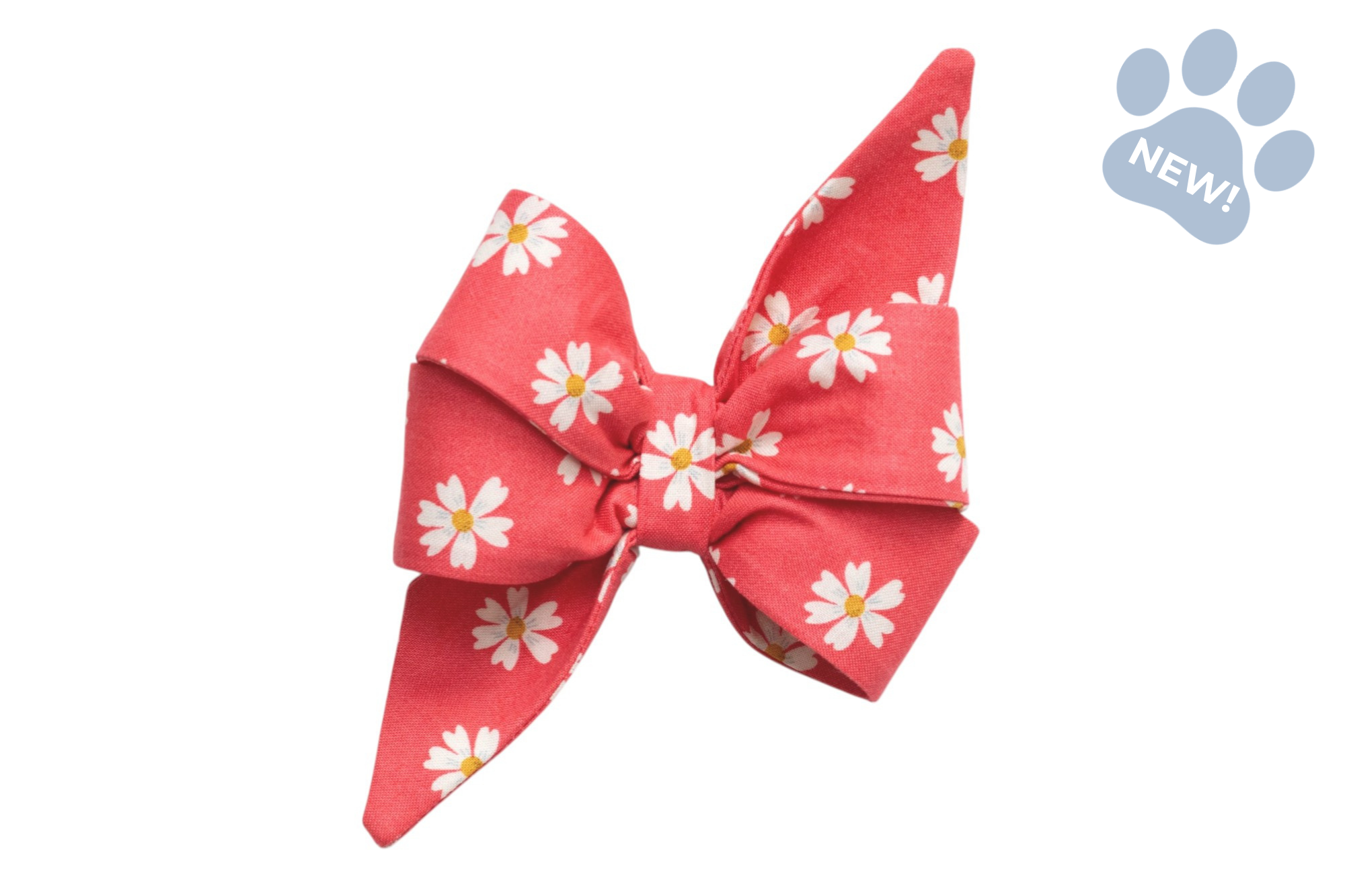 Coral Daisies Belle Bow - Crew LaLa