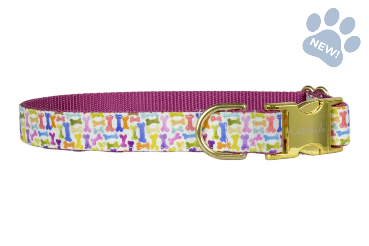 Puppy Party Dog Collar