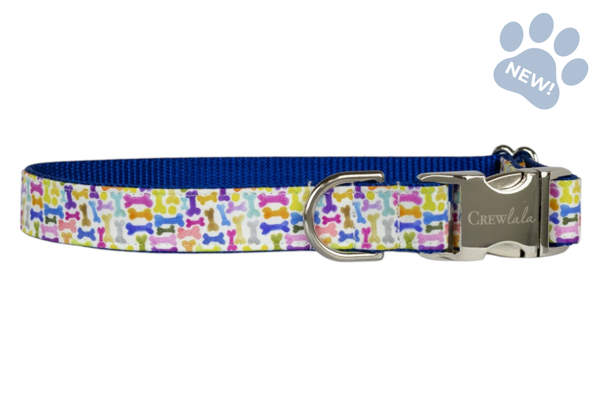 Puppy Party Dog Collar