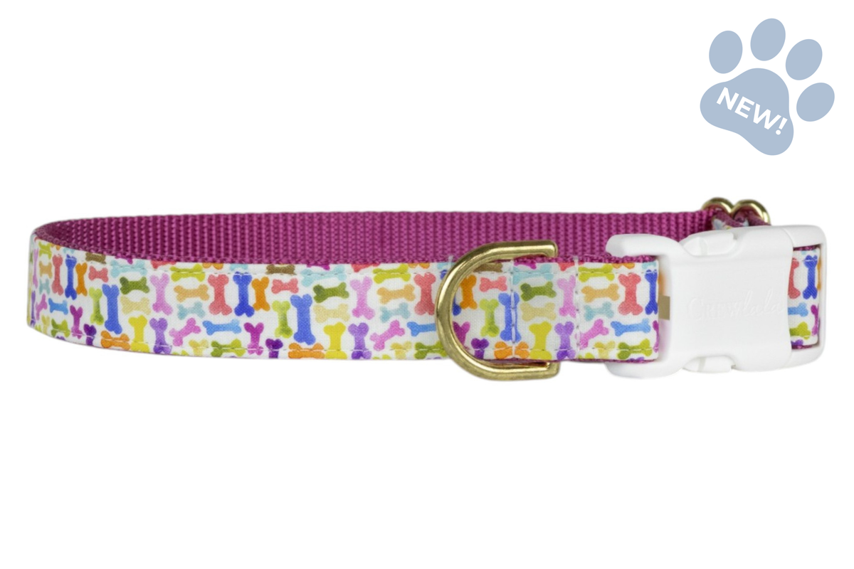 Puppy Party Dog Collar