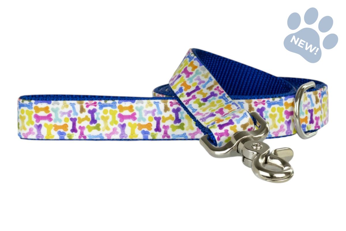 Puppy Party On Royal Blue Dog Leash