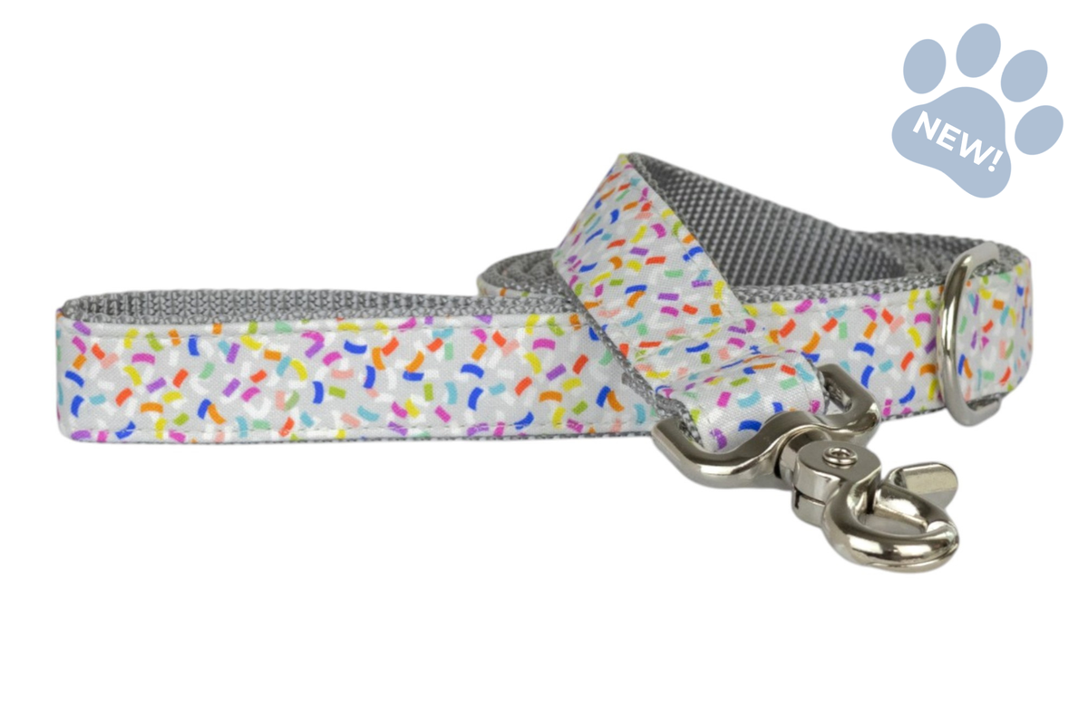 Confetti Pop Dog Leash
