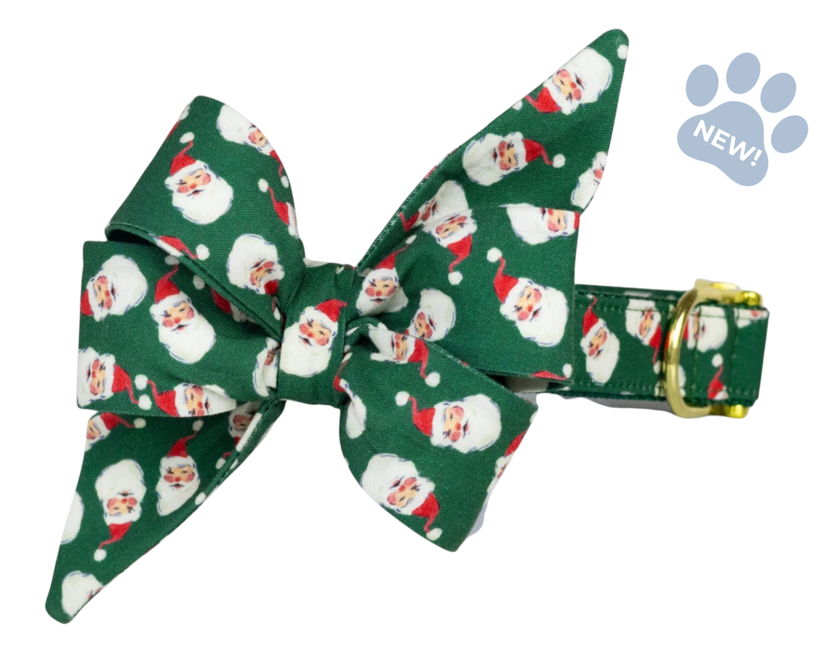 Here Comes Santa! Belle Bow Collar