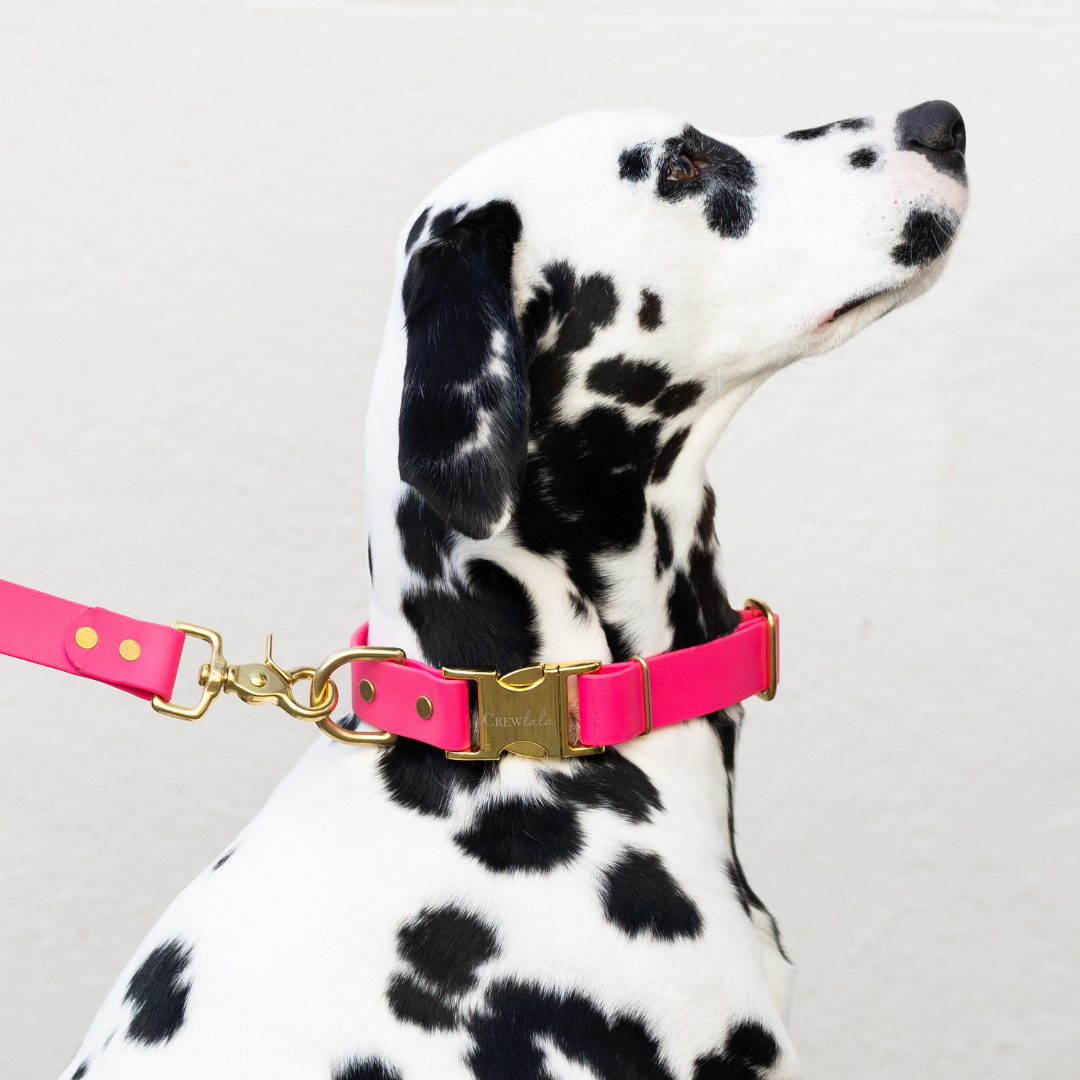 Hot Pink Biothane Collar