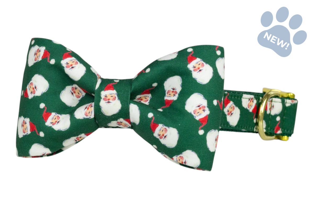 Here Comes Santa! Bow Tie Collar