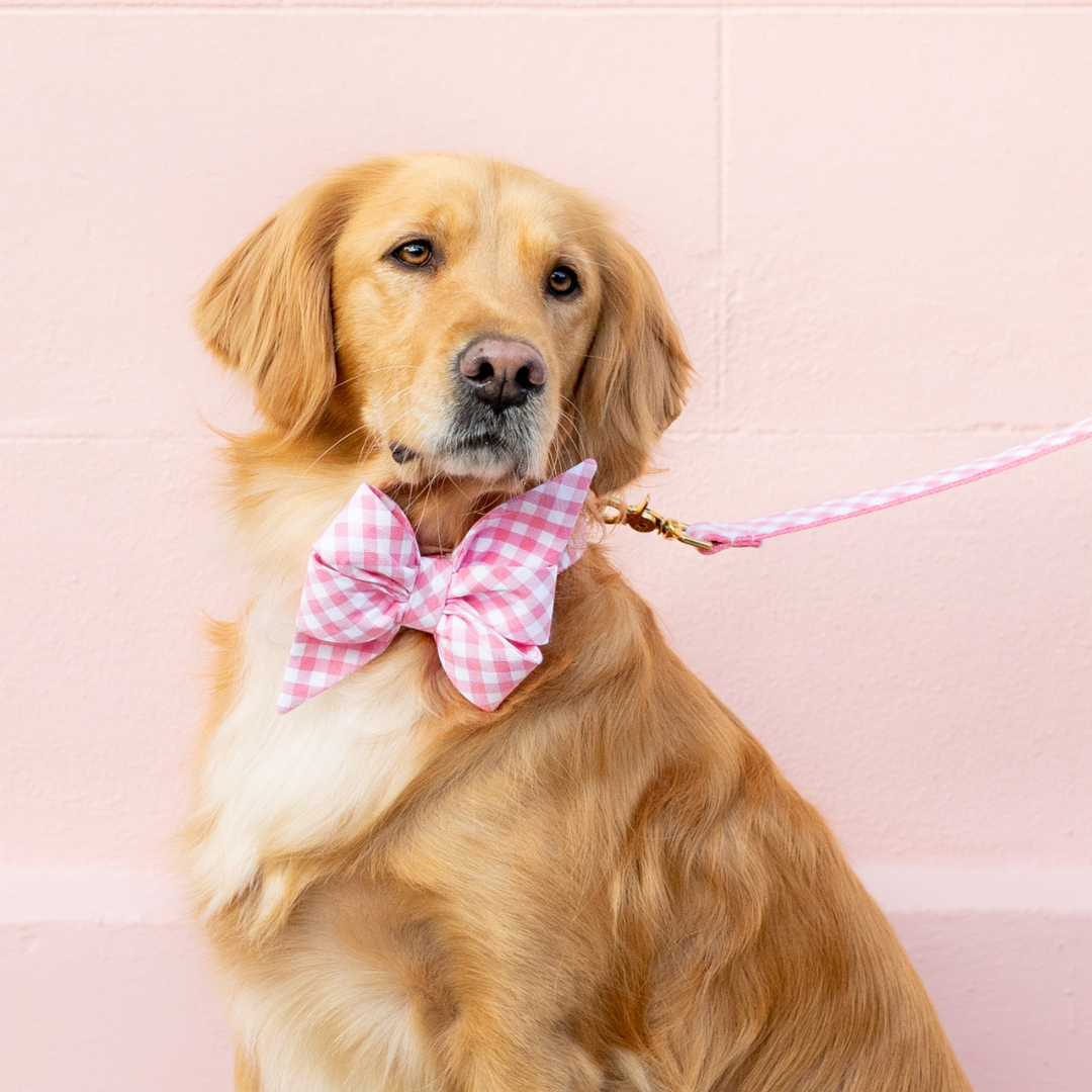 Pink Picnic Plaid Belle Bow Dog Collar - Crew LaLa