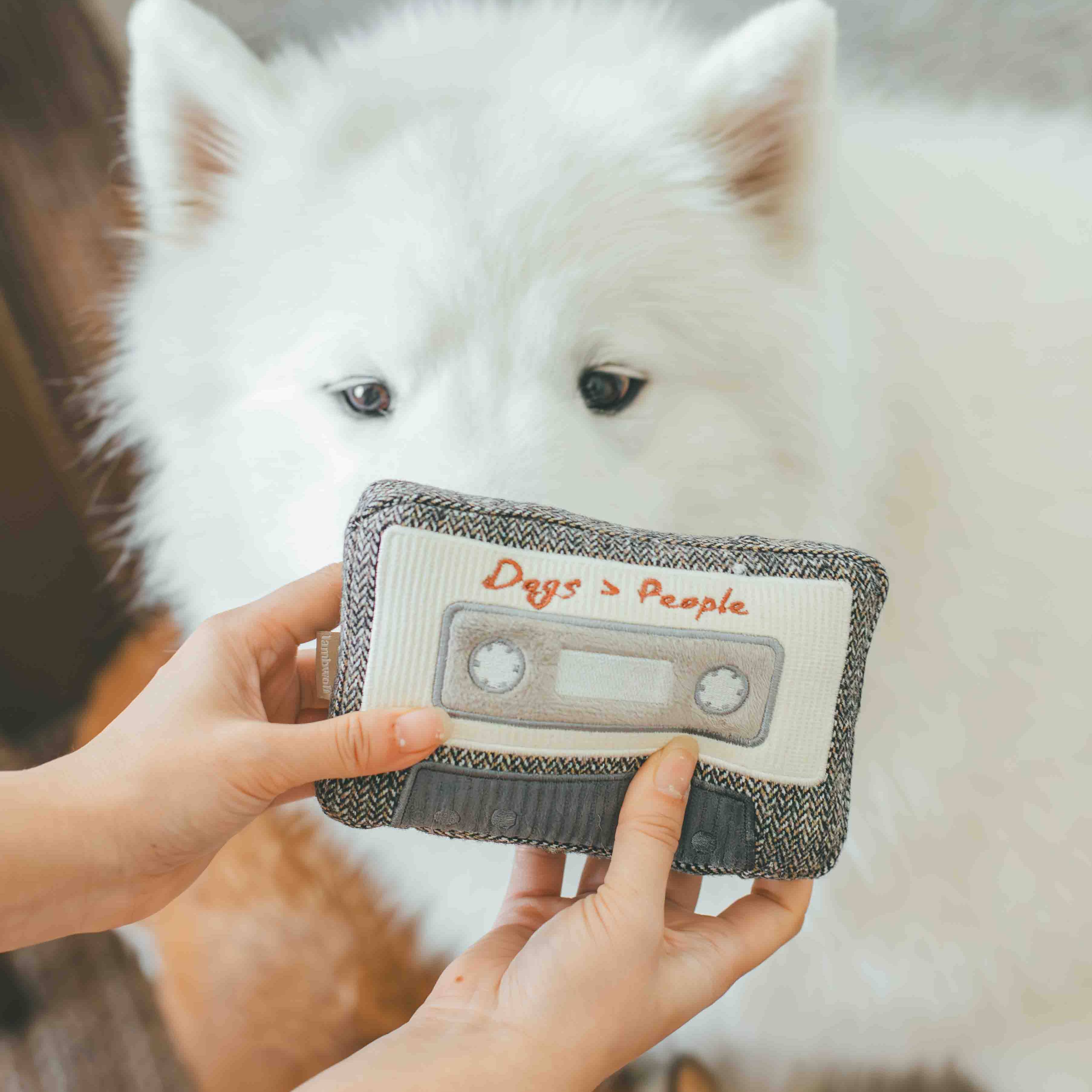 CASSETTE // ENRICHMENT DOG TOY // SNUFFLE TOY - Crew LaLa