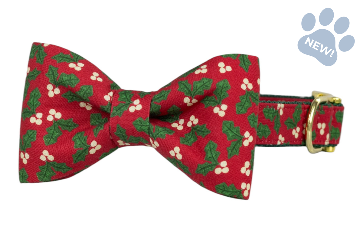 Holly Berry Bow Tie Collar