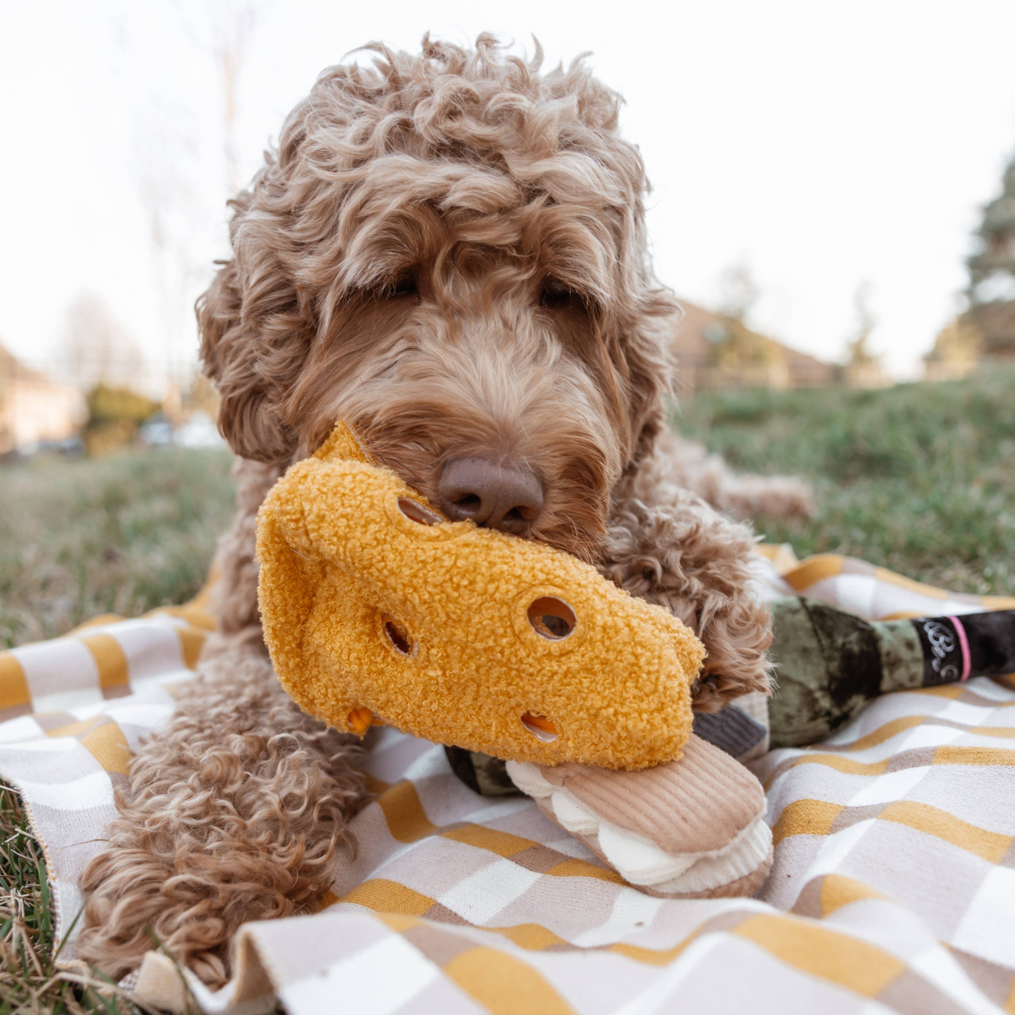 FROMAGE // ENRICHMENT DOG TOY // SNUFFLE TOY - Crew LaLa