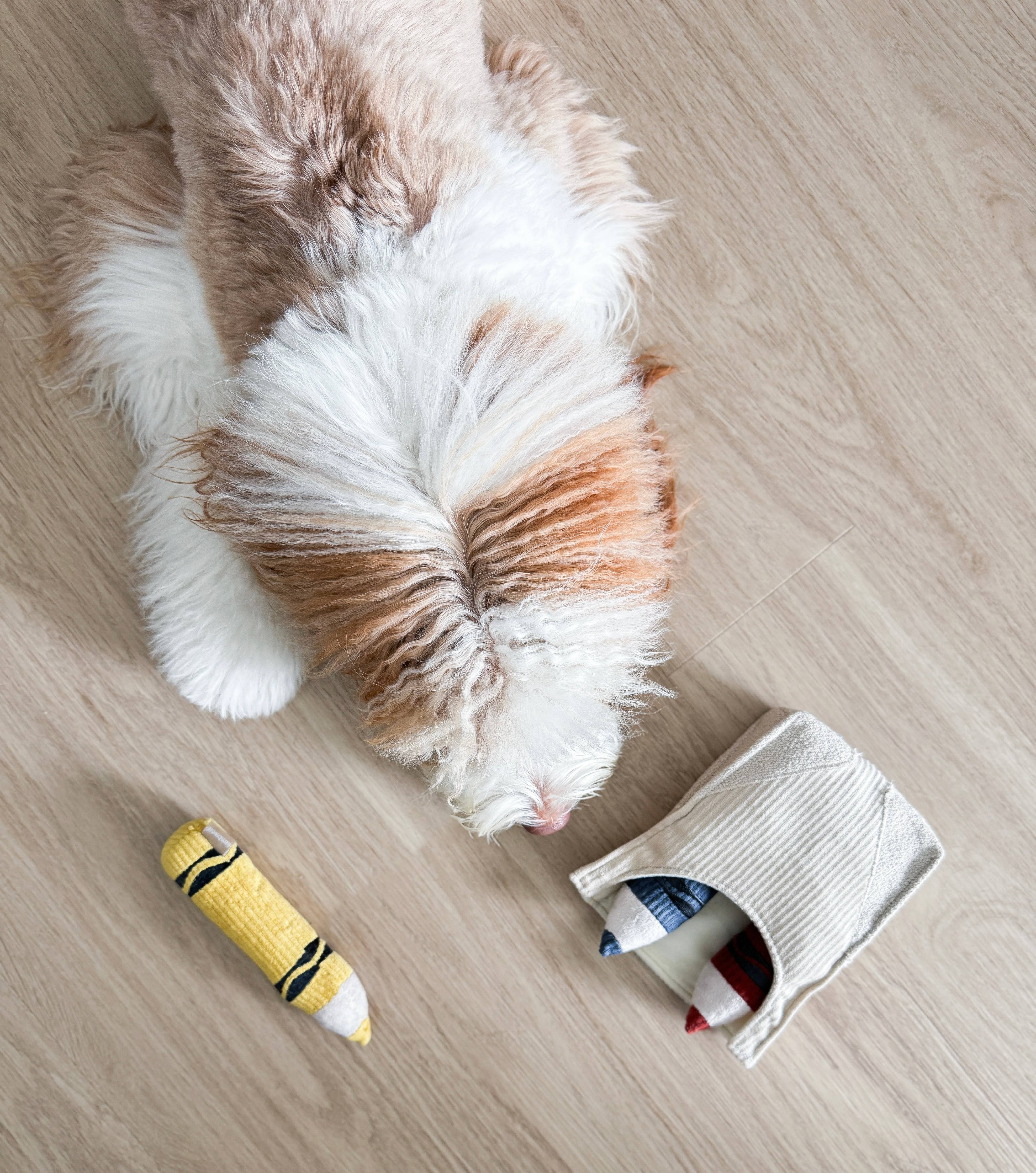 CRAYONS // ENRICHMENT DOG TOY // Squeaky + Snuffle Set - Crew LaLa
