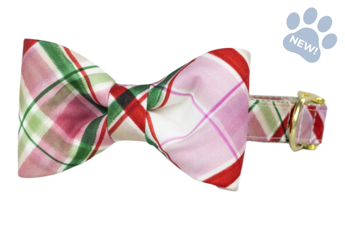 Sugar Plum Plaid Bow Tie Collar