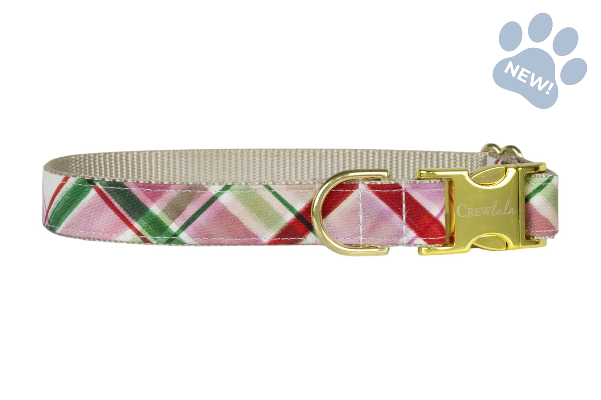 Sugar Plum Plaid Dog Collar