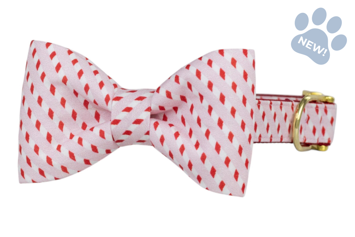 Pink Candy Cane Stripe Bow Tie Collar