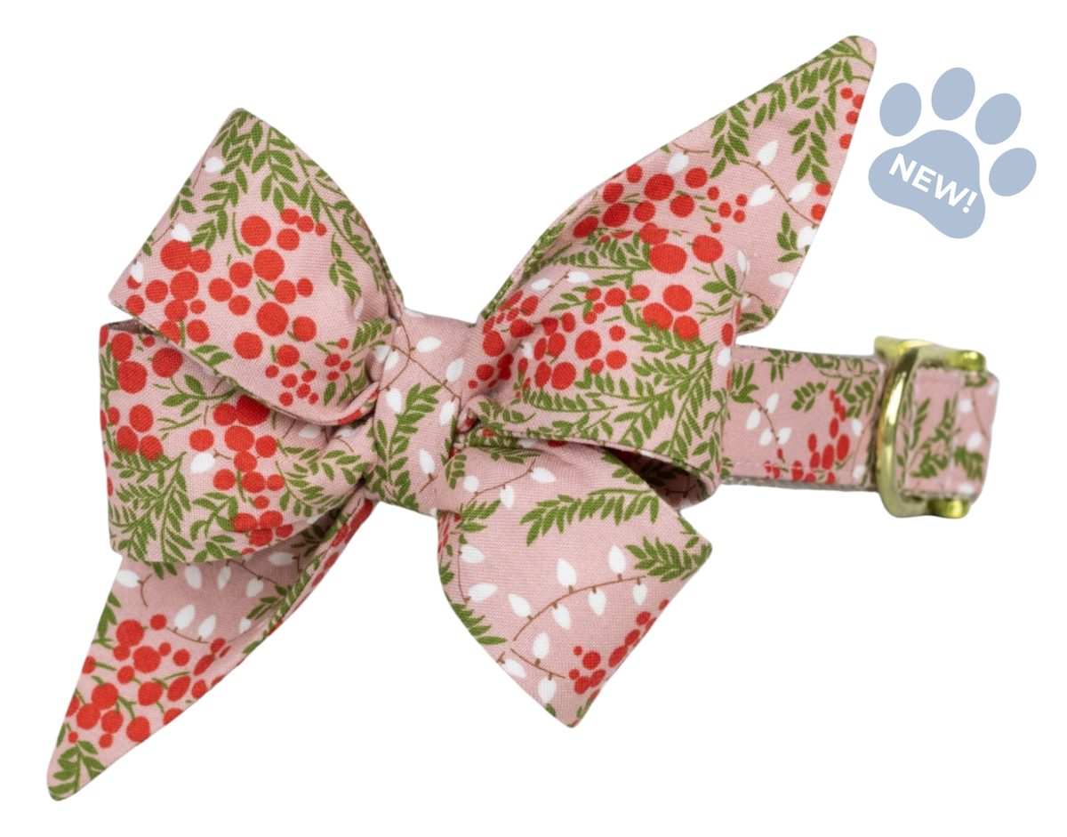 Merry Bright Lights Belle Bow Collar