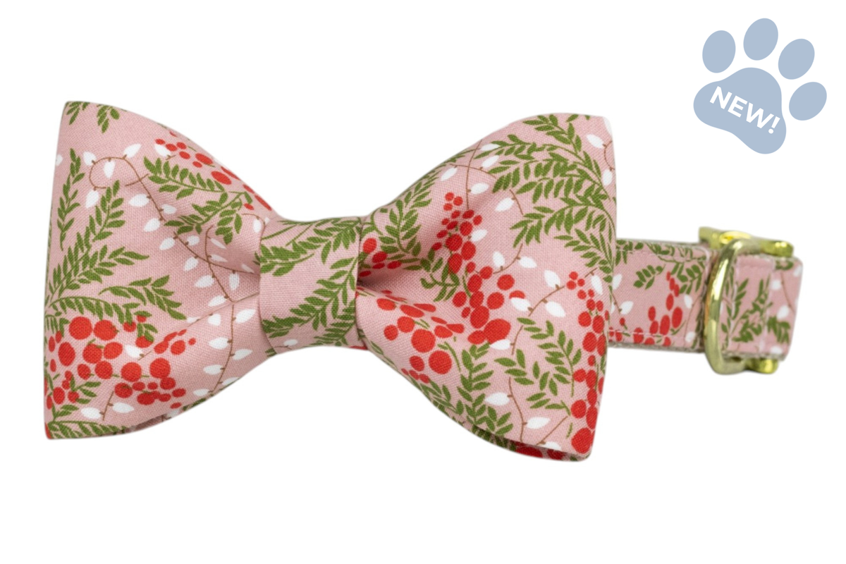 Merry Bright Lights Bow Tie Collar