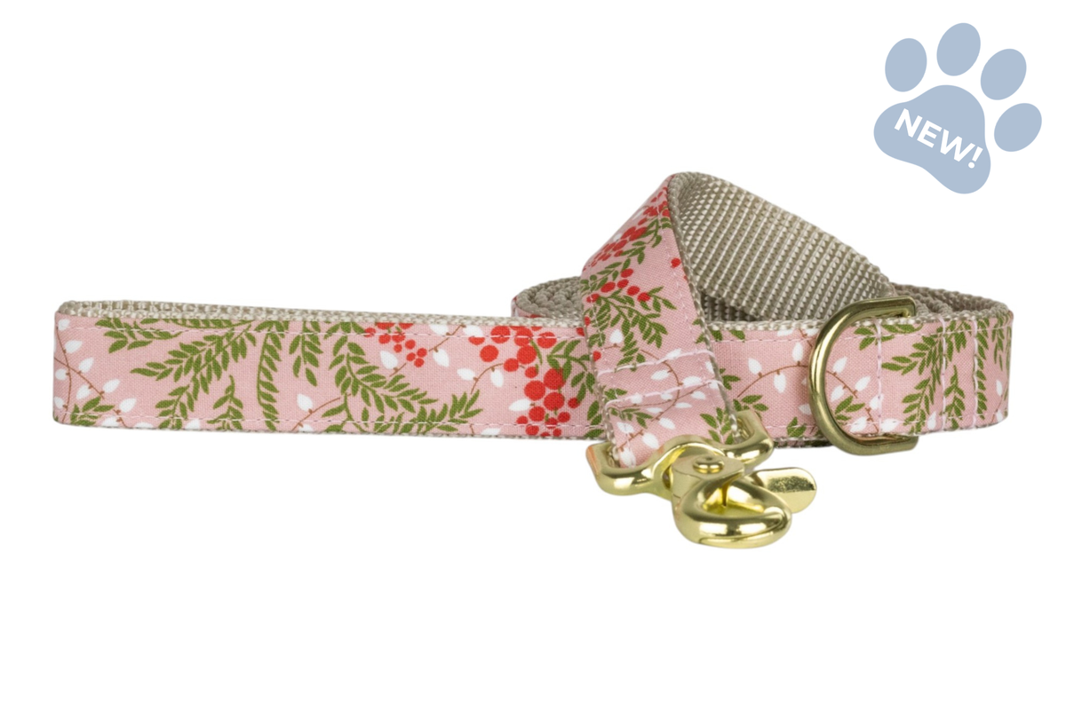 Merry Bright Lights Dog Leash