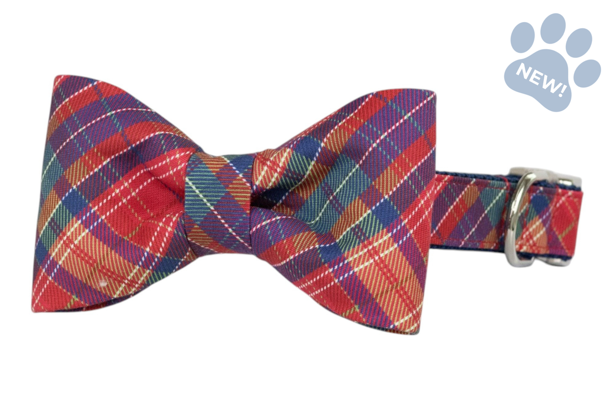 McCallister Plaid Bow Tie Collar