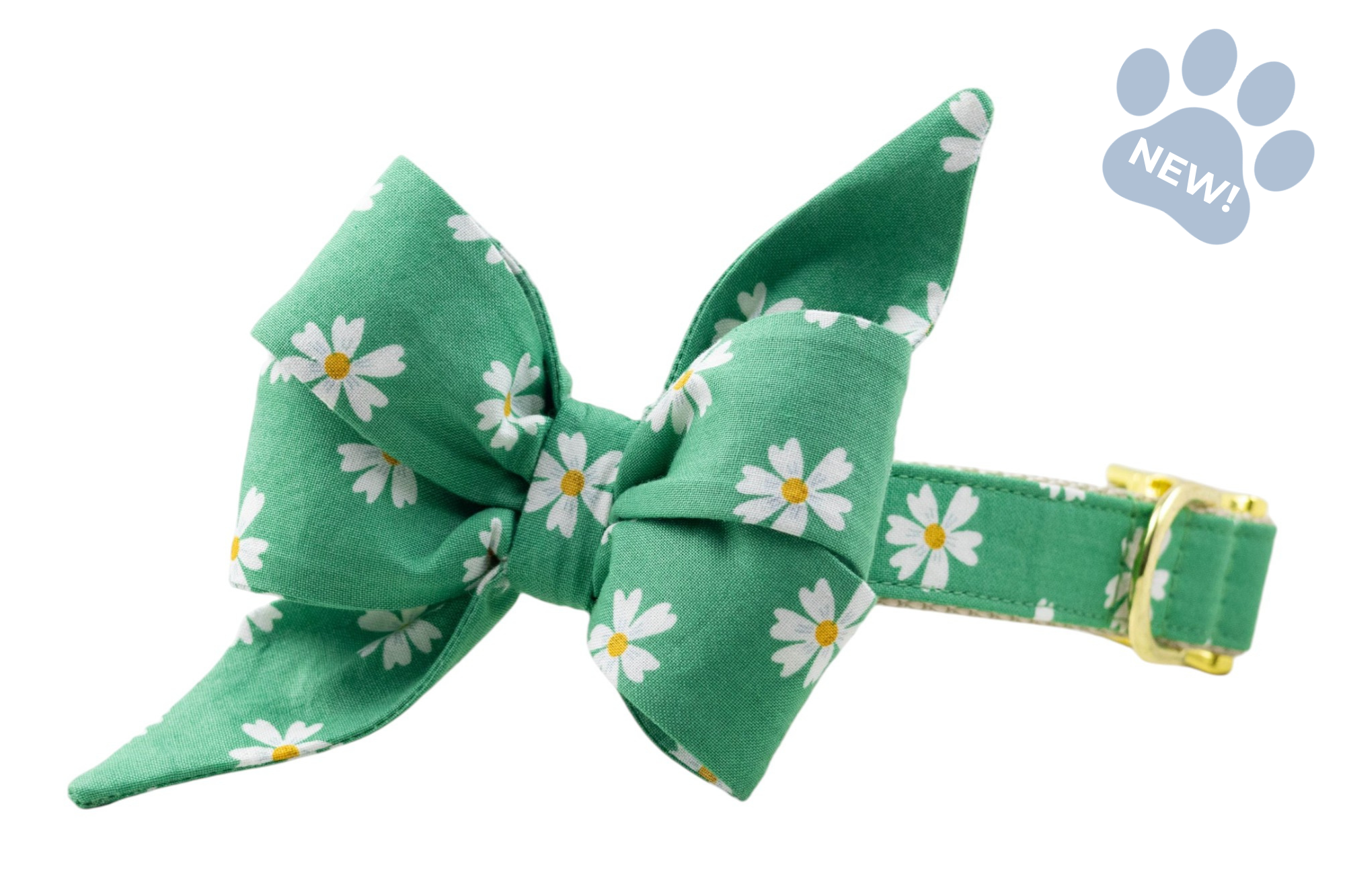 Daisy Meadow Belle Bow Collar - Crew LaLa