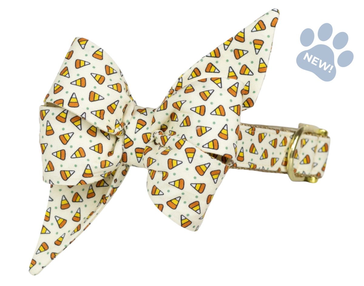 Candy Corns Belle Bow Collar