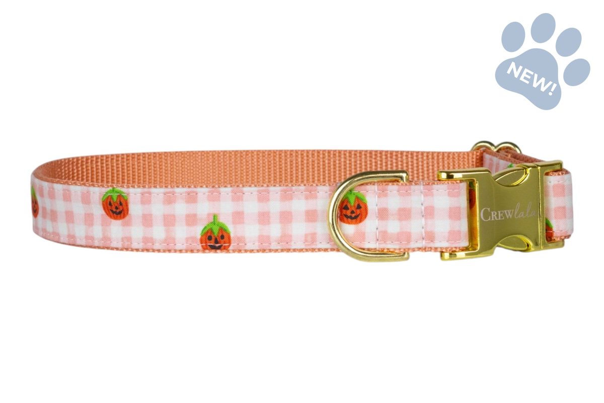 Pumpkin Gingham Bow Tie Collar