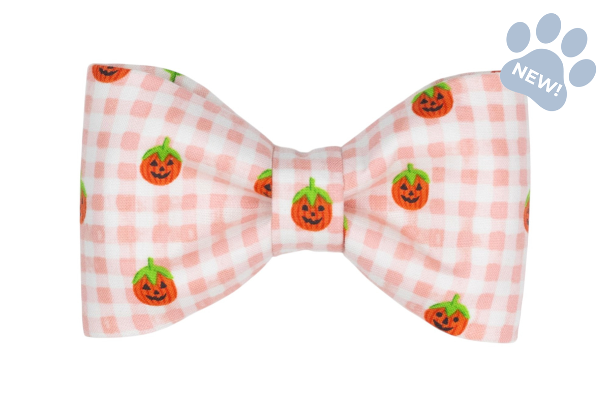 Pumpkin Gingham Bow Tie